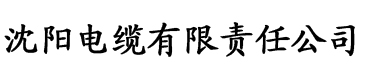 亚洲精品啪啪一区二区三区电缆厂logo